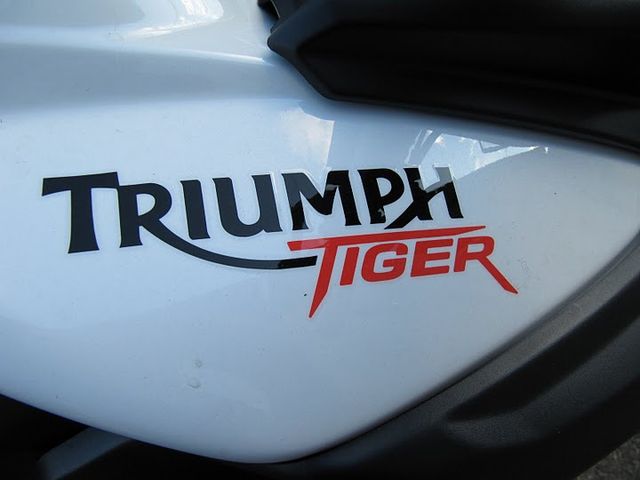Logo Triumph Tiger 800