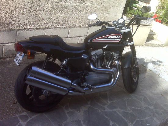 Harley Davidson XR1200 vue de droite