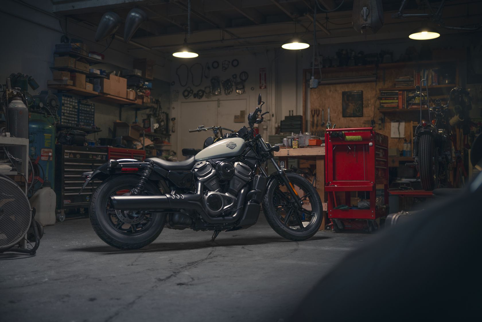 Harley Davidson Nightster 2024 côté droit