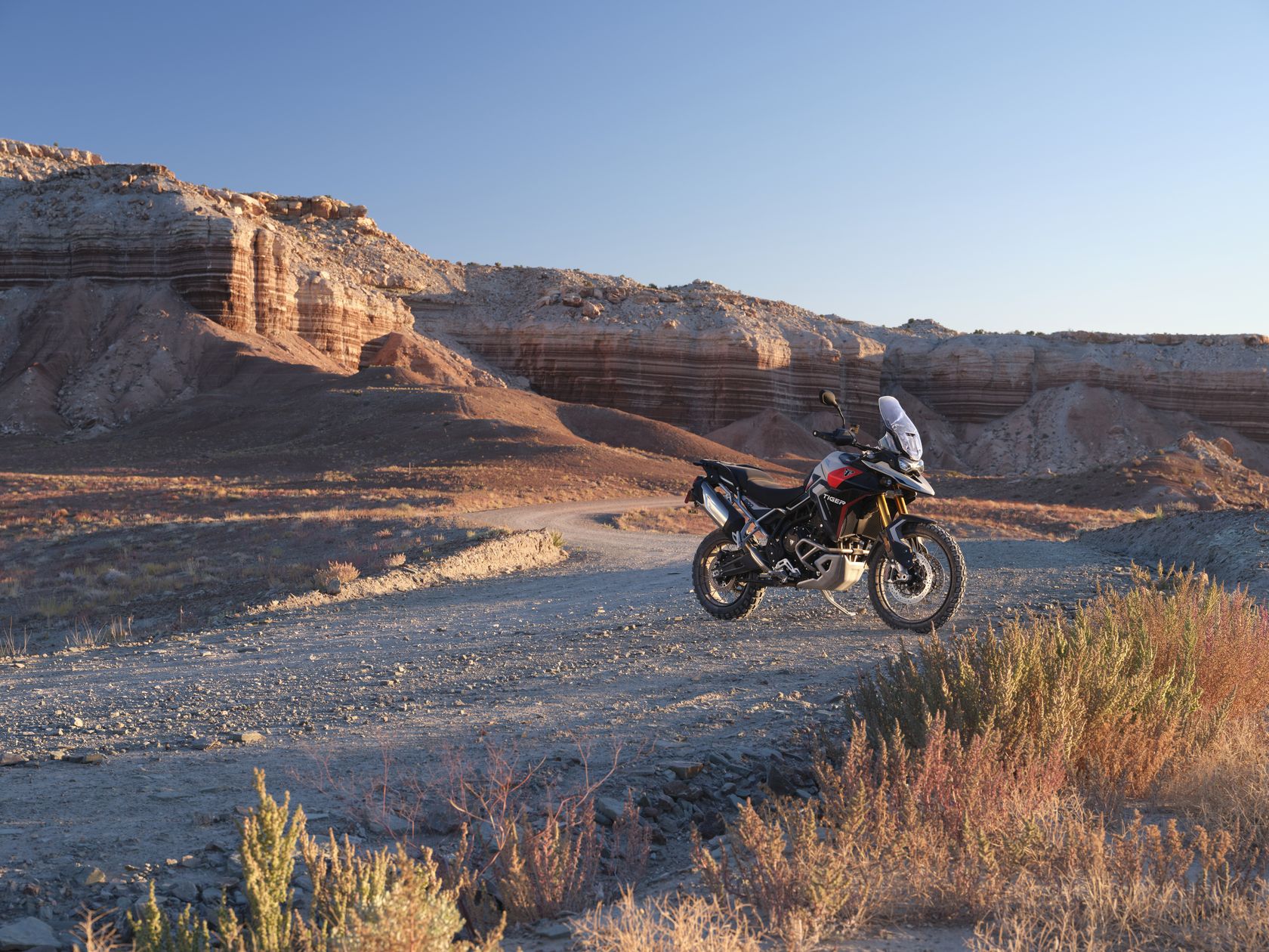 Triumph Tiger 900 Rally Pro 2024 en statique