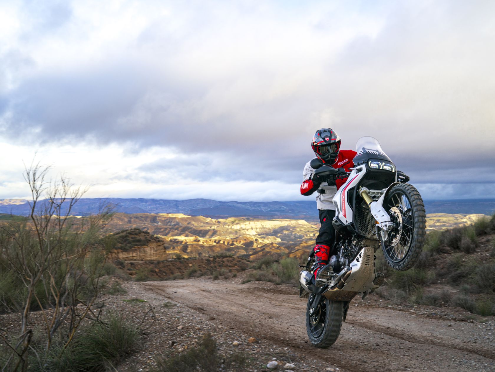 Ducati DesertX 2026 en wheeling Ducati DesertX 2026 en wheeling