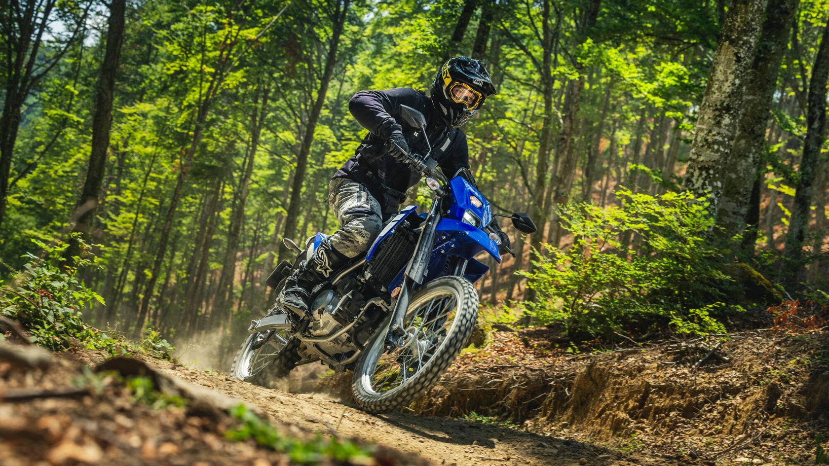 Yamaha WR125R 2026 en forêt