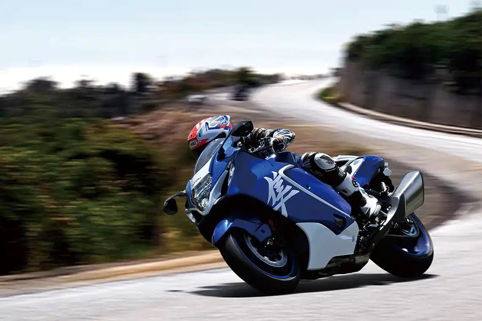 Suzuki Hayabusa Special Edition 2026 en action
