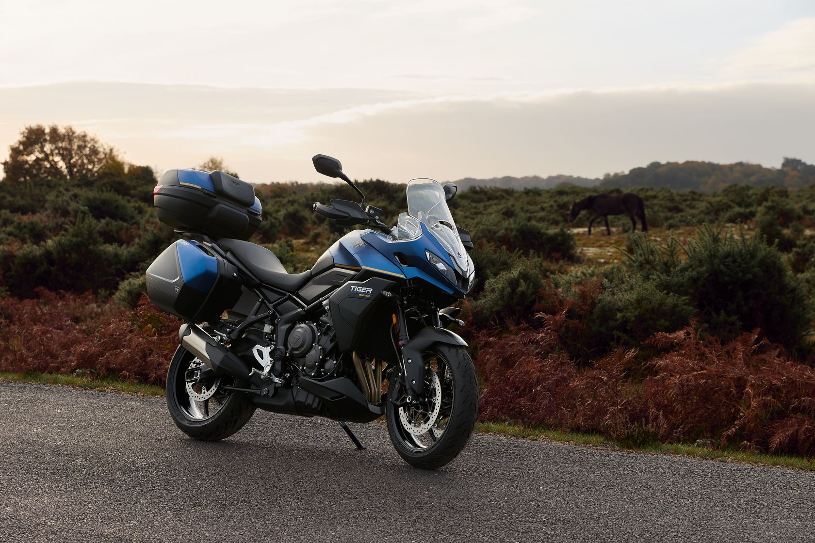 Triumph Tiger Sport 800 tour 2026