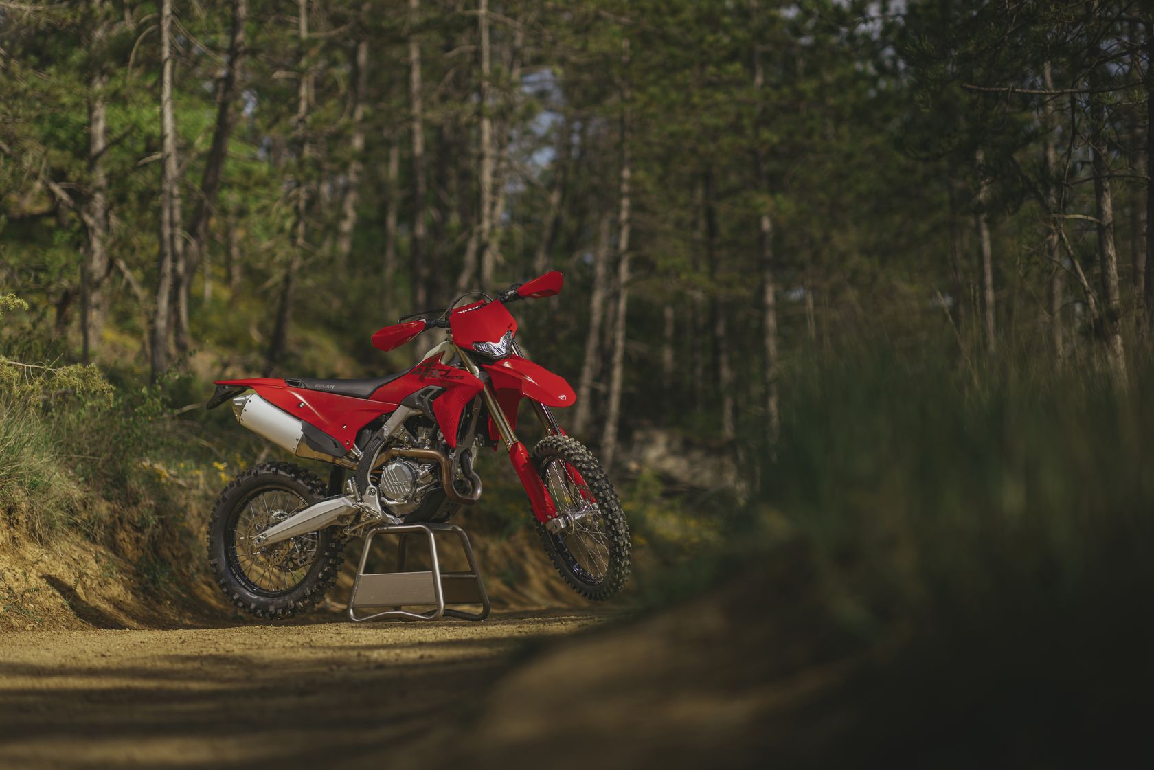 Ducati Desmo450 EDS 2027 en statique