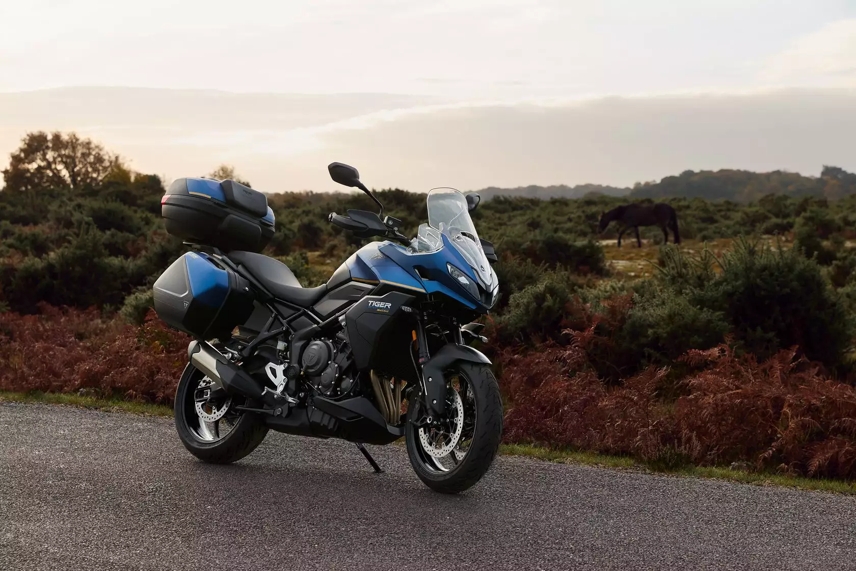 Triumph Tiger Sport 800 tour 2026